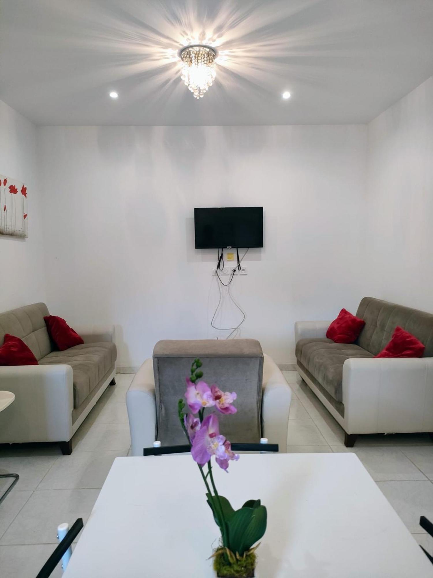 Residence Des Canaris تولوز المظهر الخارجي الصورة
